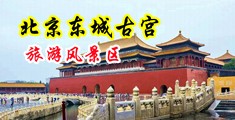 黄色操逼大鸡巴视频中国北京-东城古宫旅游风景区